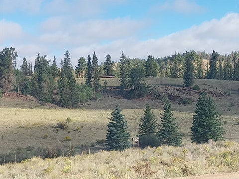 Photo of 1167 Latigo Loop, Hartsel, CO 80449 (MLS # S1071135)