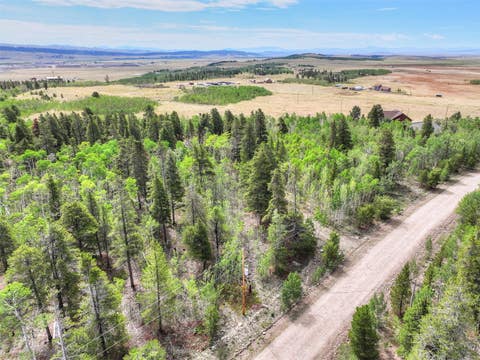 Photo of 242 Green Bottle Circle, Fairplay, CO 80440 (MLS # S1070862)