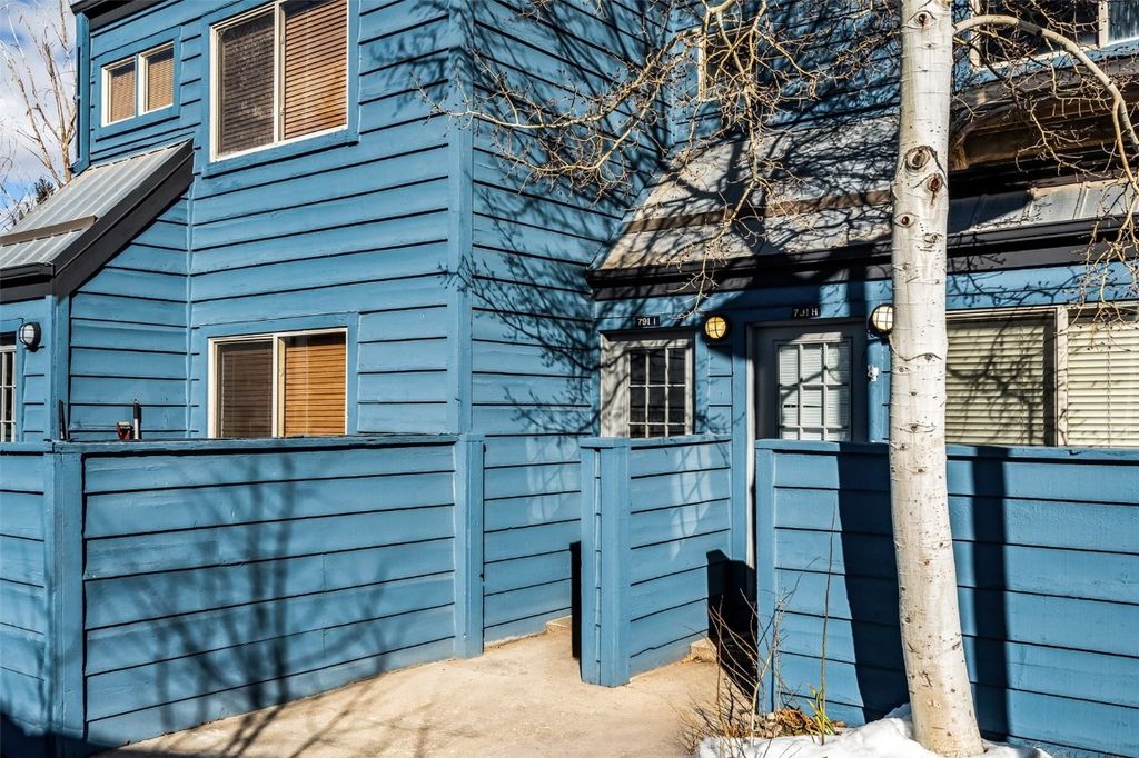 Photo of 791 Rainbow Drive #I, Silverthorne, CO 80498 (MLS # S1065834)