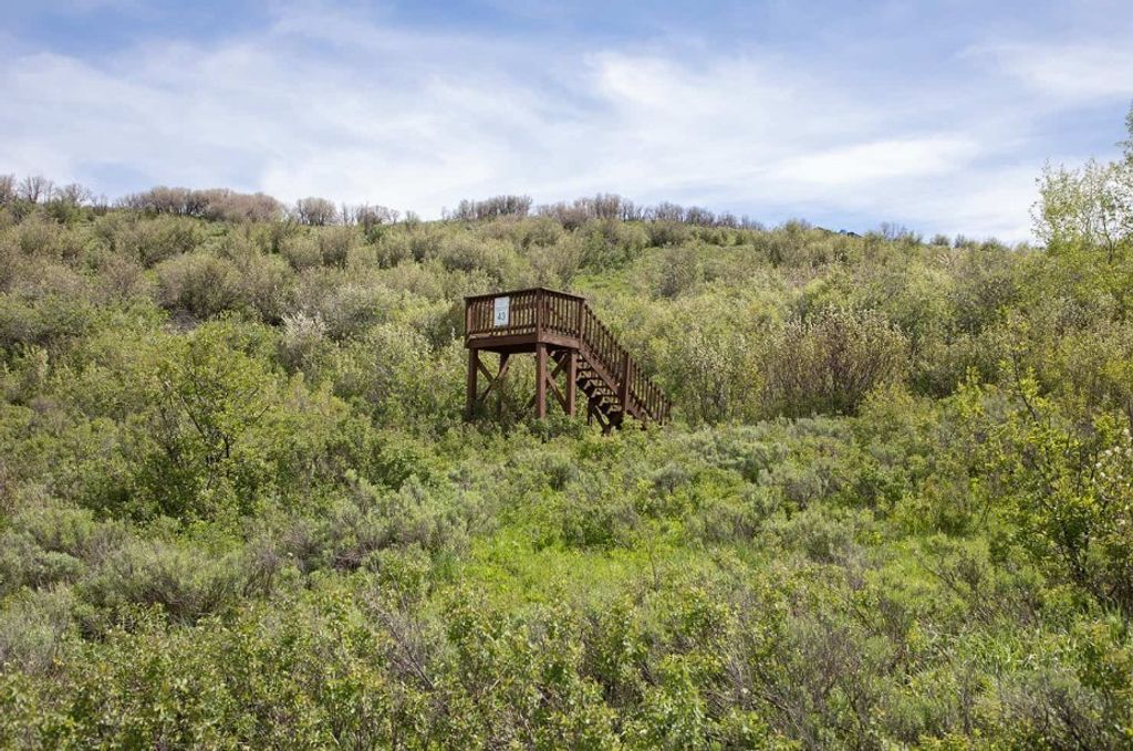 Photo of 34395 Waterside Court, Steamboat Springs, CO 80487 (MLS # S1064310)