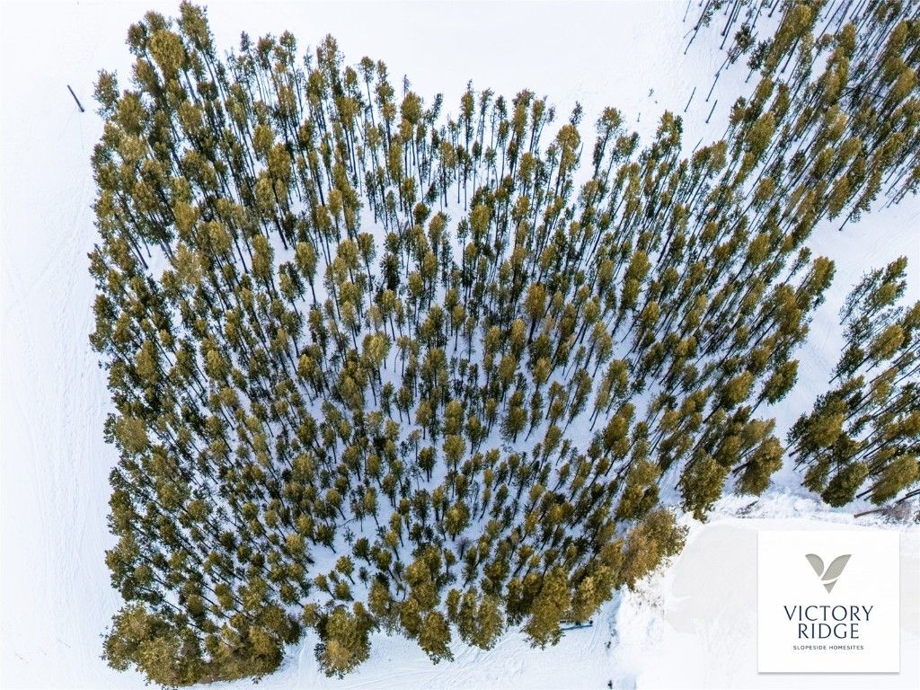 Photo of 7 Legacy Way, Breckenridge, CO 80424 (MLS # S1064542)