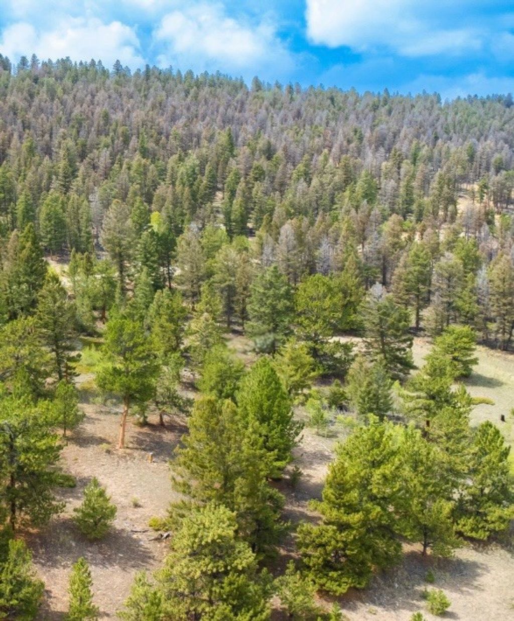 Photo of 31663 Redhill Rd, Fairplay, CO 80440 (MLS # S1064424)