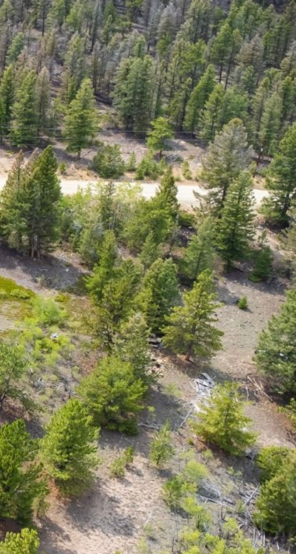 Photo of 31663 Redhill Rd, Fairplay, CO 80440 (MLS # S1064424)