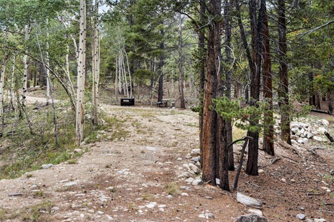 Photo of 27 Vots Drive, Fairplay, CO 80440 (MLS # S1071001)