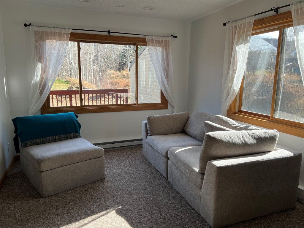 Photo of 40 Sequoia Court #40, Steamboat Springs, CO 80487 (MLS # S1064329)