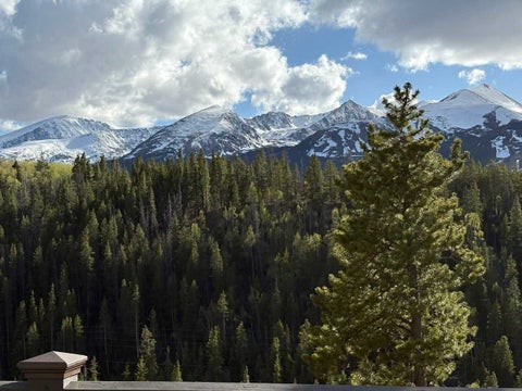 Photo of 2542 Boreas Pass Road, Breckenridge, CO 80424 (MLS # S1068864)