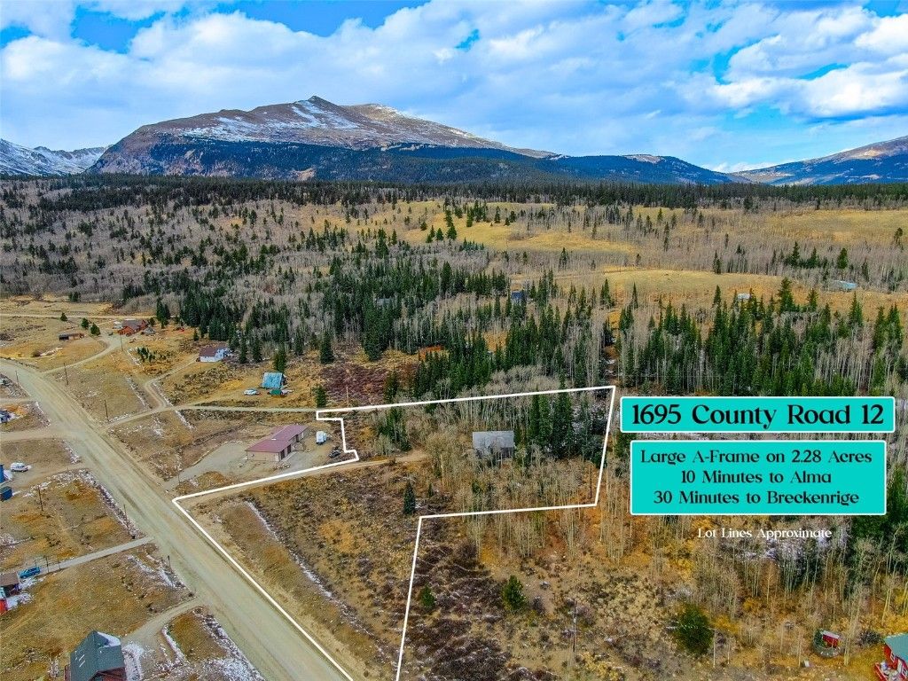 Photo of 1695 Cr-12, Alma, CO 80440 (MLS # S1064395)