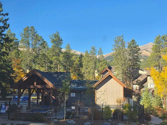 705 SNOWBERRY LN APT 112, BRECKENRIDGE, CO 80424 - Image a00251bffc19cbda4cb21c31249e8431/1801106930