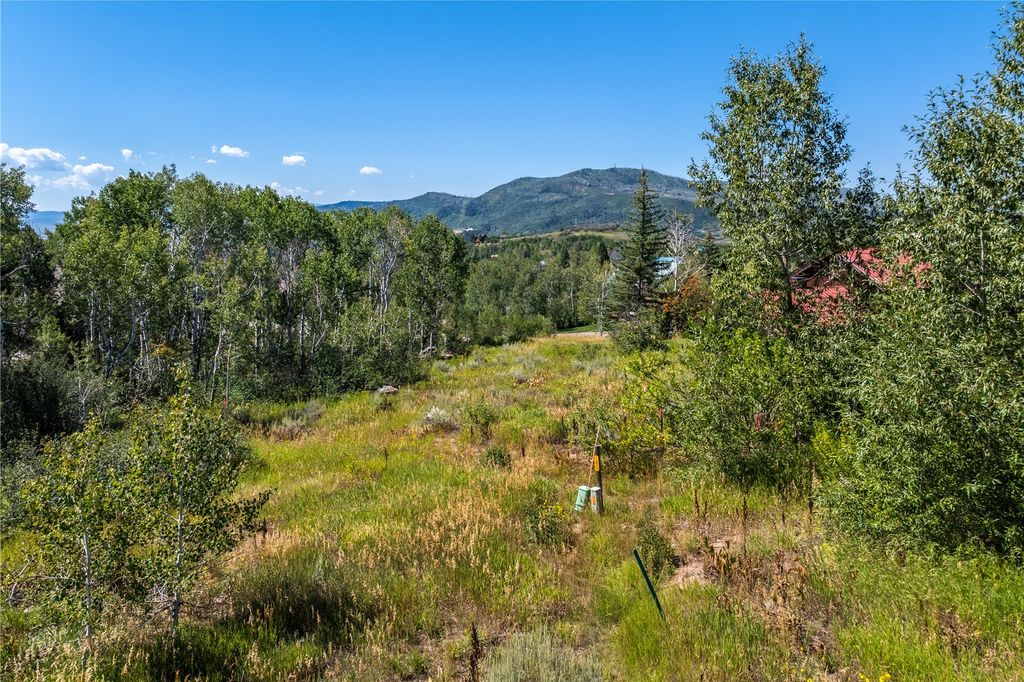 Photo of 245 Huckleberry Lane, Steamboat Springs, CO 80487 (MLS # S1064290)