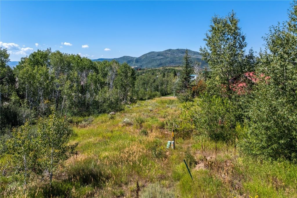 Photo of 245 Huckleberry Lane, Steamboat Springs, CO 80487 (MLS # S1064290)