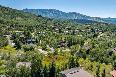 Photo of 245 Huckleberry Lane, Steamboat Springs, CO 80487 (MLS # S1064290)