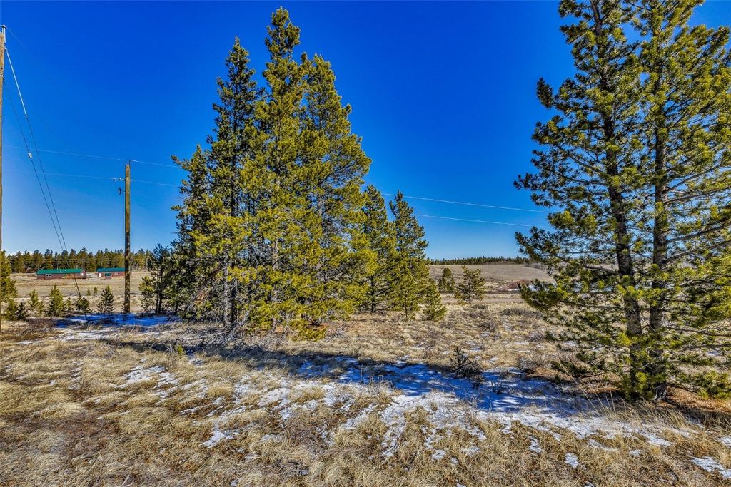 Photo of 1957 Coil Drive, Fairplay, CO 80440 (MLS # S1065912)