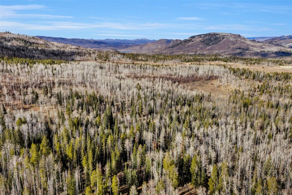 Photo of 20331 King Bolt Way, Oak Creek, CO 80467 (MLS # S1064318)