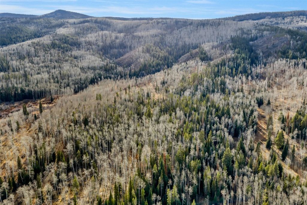 Photo of 20331 King Bolt Way, Oak Creek, CO 80467 (MLS # S1064318)