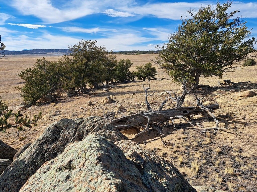 Photo of 1282 Ute Trace, Hartsel, CO 80449 (MLS # S1064254)