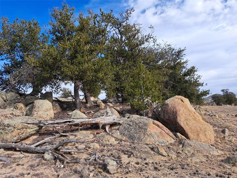 Photo of 1282 Ute Trace, Hartsel, CO 80449 (MLS # S1064254)