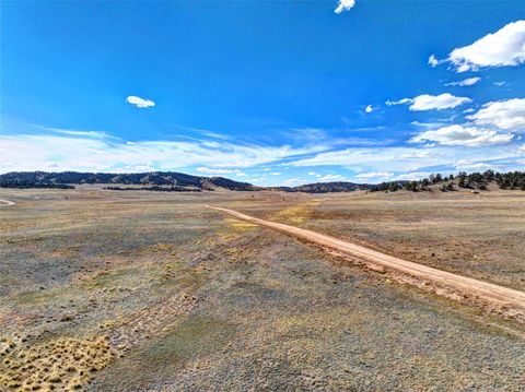 Photo of 236 Cheyenne Trail, Hartsel, CO 80449 (MLS # S1068119)