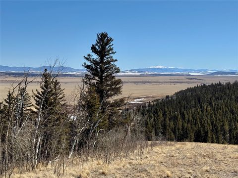 Photo of 1872 High Creek Road, Fairplay, CO 80440 (MLS # S1067570)