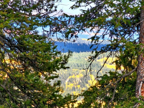 Photo of 387 El Lobo Lane, Fairplay, CO 80440 (MLS # S1071775)