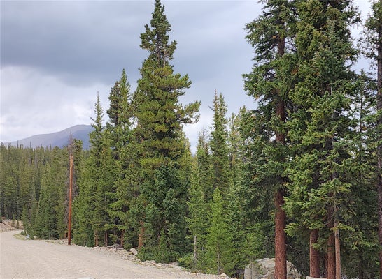 806 BOBCAT LN, FAIRPLAY, CO 80440 - Image aa5dbff6eb78e7c856ffe44554d837d2/1773763600