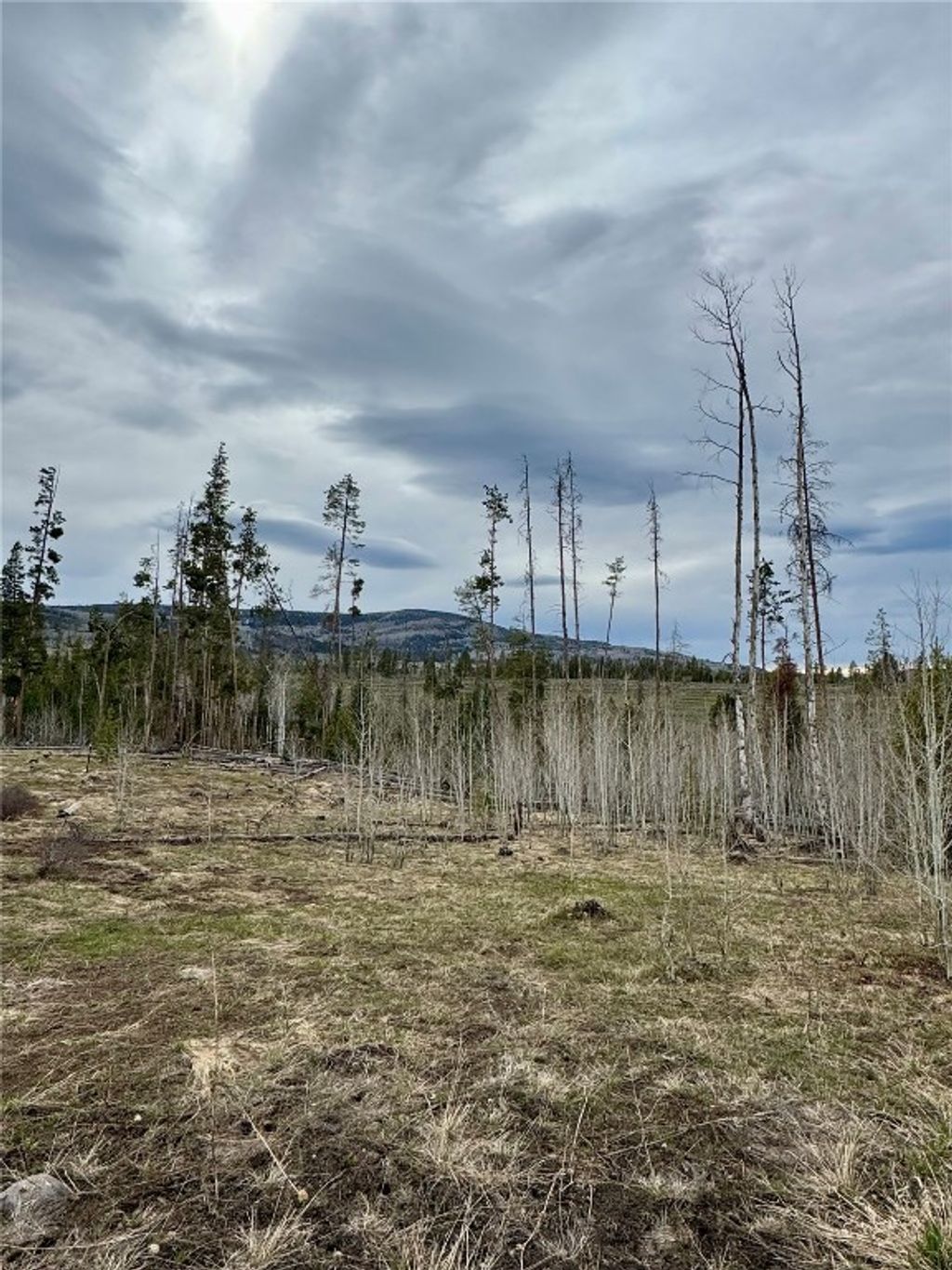 Photo of Rein Way, Oak Creek, CO 80467 (MLS # S1057814)