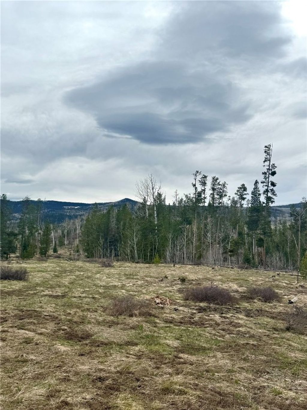 Photo of Rein Way, Oak Creek, CO 80467 (MLS # S1057814)