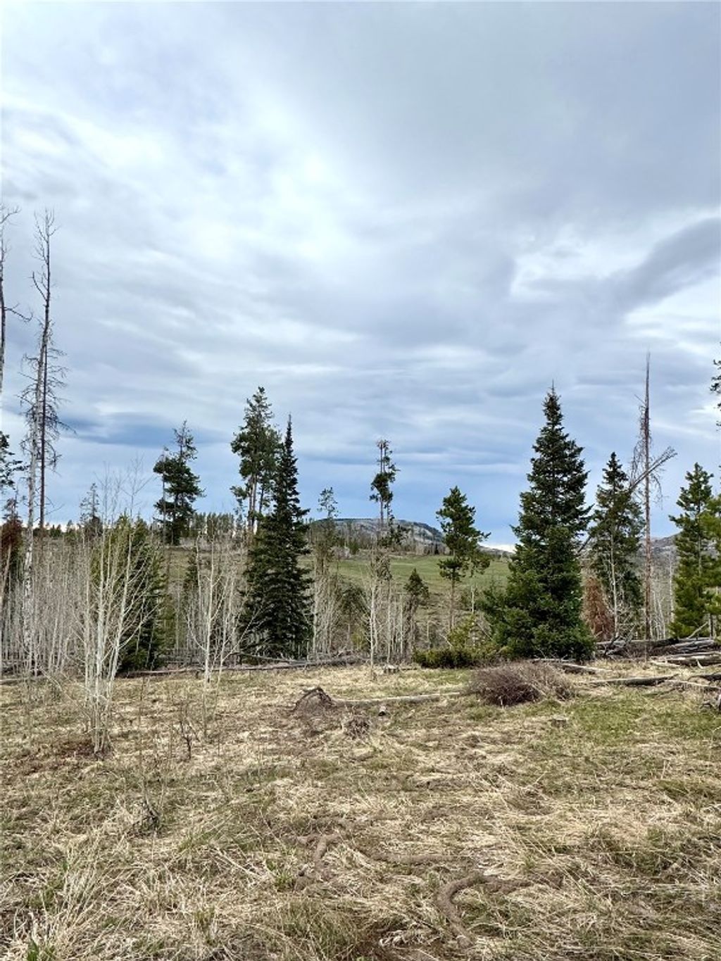 Photo of Rein Way, Oak Creek, CO 80467 (MLS # S1057814)