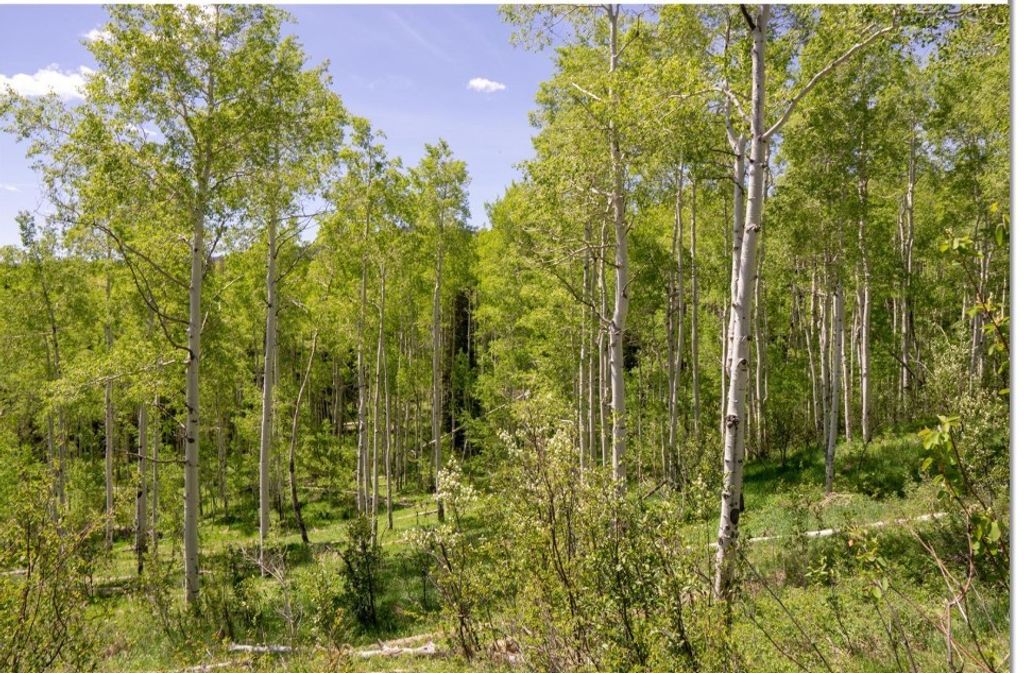 Photo of Silver Fox Trail, Oak Creek, CO 80467 (MLS # S1057408)