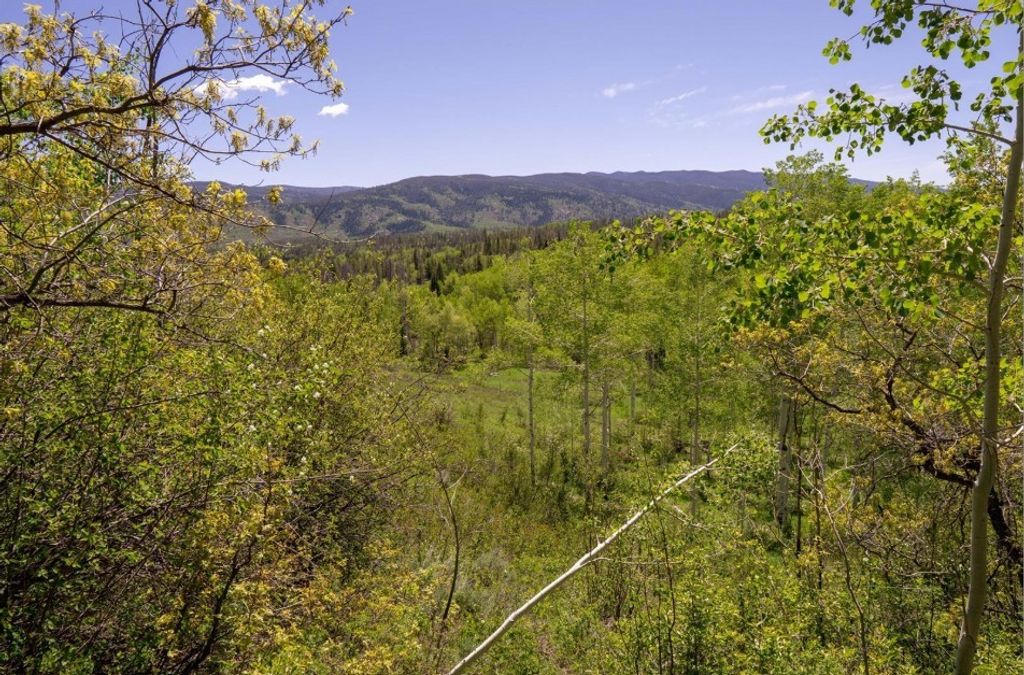 Photo of Silver Fox Trail, Oak Creek, CO 80467 (MLS # S1057408)