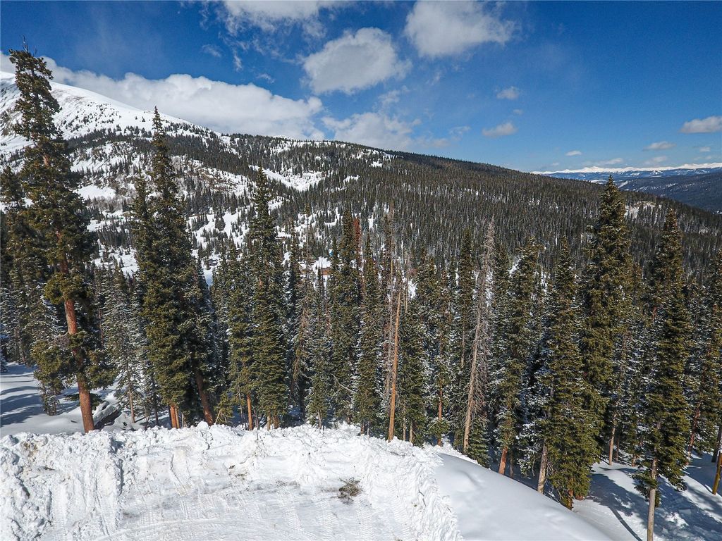 Photo of 450 Quandary View Drive, Breckenridge, CO 80424 (MLS # S1066094)