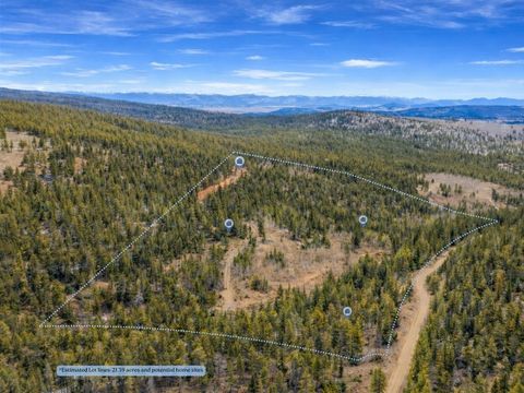 Photo of Beaver Creek Road, Alma, CO 80420 (MLS # S1067921)