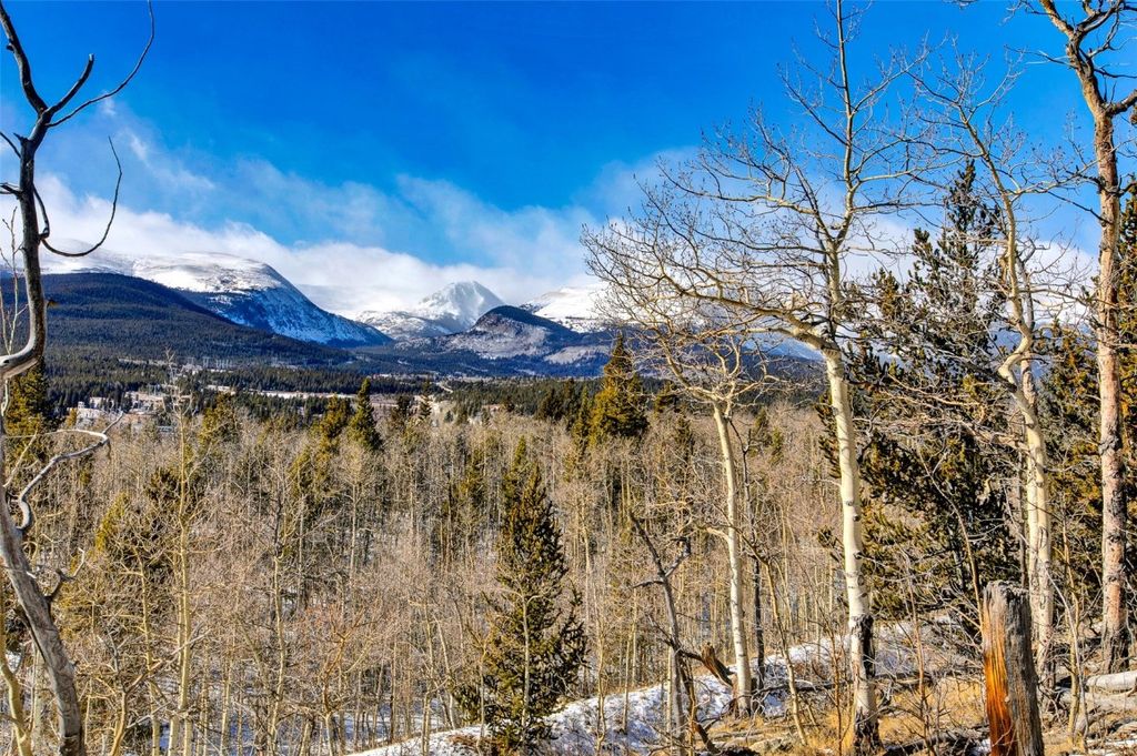 Photo of 96 Dead Toad Road, Alma, CO 80420 (MLS # S1064496)