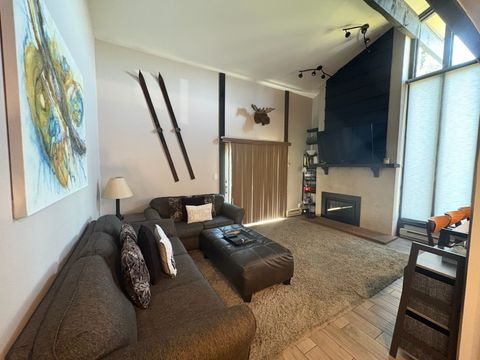 Photo of 2515 Apres Ski Way #5, Steamboat Springs, CO 80487 (MLS # S1070113)