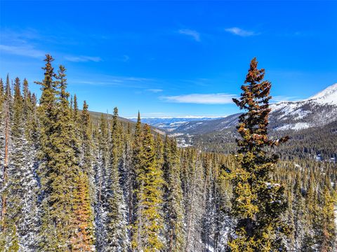 Photo of 513 Carroll Lane, Breckenridge, CO 80424 (MLS # S1068404)