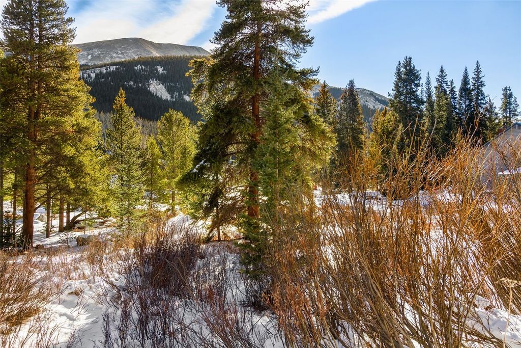 Photo of 134 97 Circle, Blue River, CO 80424 (MLS # S1064556)