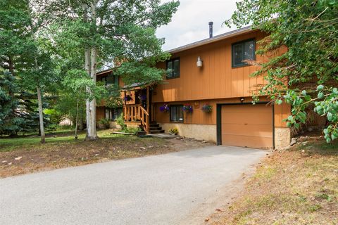 Photo of 857 Deer Path Road, Dillon, CO 80435 (MLS # S1068202)