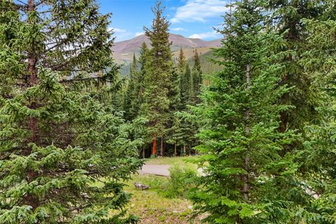 Photo of 57 County Road 675, Breckenridge, CO 80424 (MLS # S1066138)