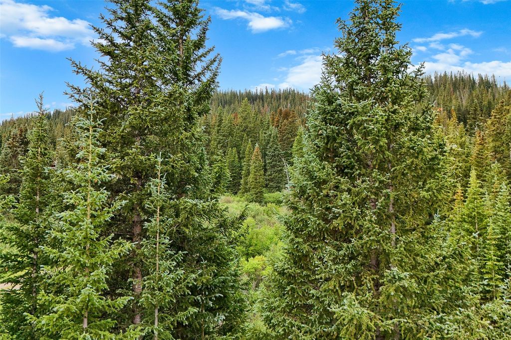 Photo of 57 County Road 675, Breckenridge, CO 80424 (MLS # S1066138)
