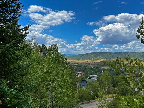 Photo of 2927 Laurel Lane, Steamboat Springs, CO 80487 (MLS # S1063950)