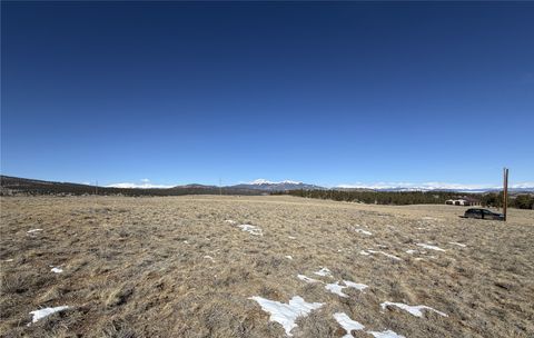 Photo of 773 Hayhook Way, Hartsel, CO 80449 (MLS # S1067647)