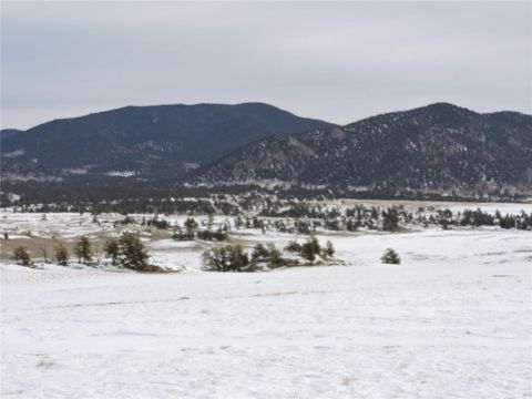 Photo of 2418 Goldenburg Canyon Road, Hartsel, CO 80449 (MLS # S1066014)