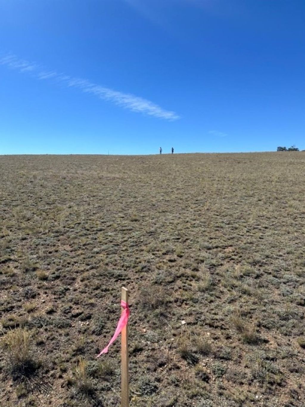 Photo of 2418 Goldenburg Canyon Road, Hartsel, CO 80449 (MLS # S1066014)