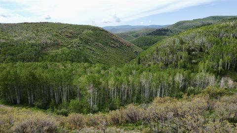 Photo of 24425 Lone Tooth Trail, Oak Creek, CO 80467 (MLS # S1068317)