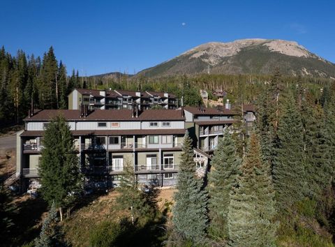 Photo of 10000 Ryan Gulch (CR 1260) Road #105, Silverthorne, CO 80498 (MLS # S1062082)