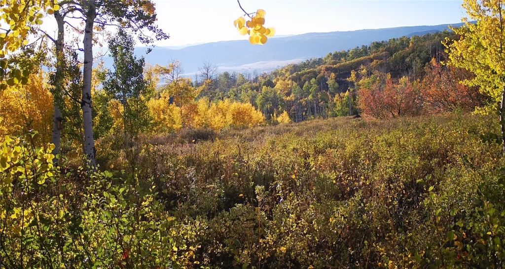 Photo of 55966 Hannahs Way, Clark, CO 80428 (MLS # S1061232)