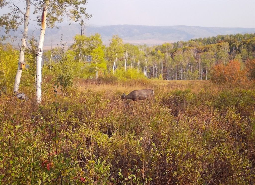 Photo of 55966 Hannahs Way, Clark, CO 80428 (MLS # S1061232)