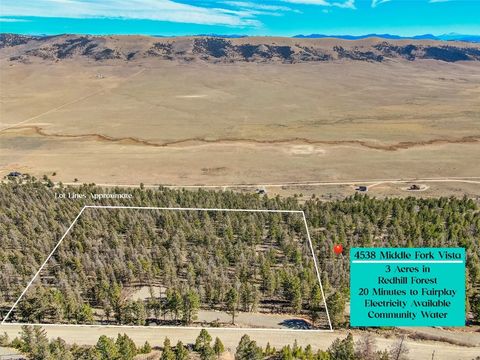 Photo of 4538 Middle Fork, Fairplay, CO 80440 (MLS # S1064205)