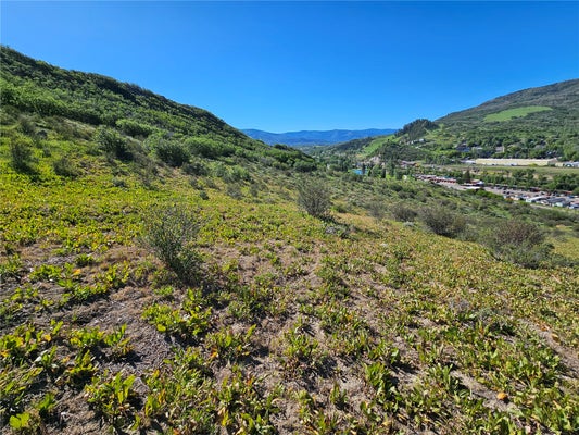 1328 INDIAN TRL, STEAMBOAT SPRINGS, CO 80487 - Image bf601cf240bc85a0bd2b73688603e78d/4140096713