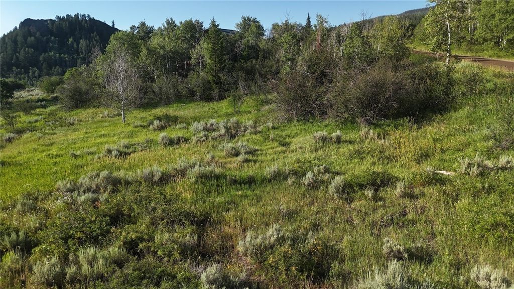 Photo of 31145 Broken Talon Trail, Oak Creek, CO 80467 (MLS # S1061641)