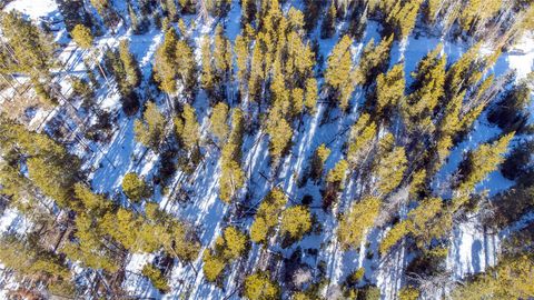 Photo of 33548 Seneca Trail, Oak Creek, CO 80467 (MLS # S1067591)